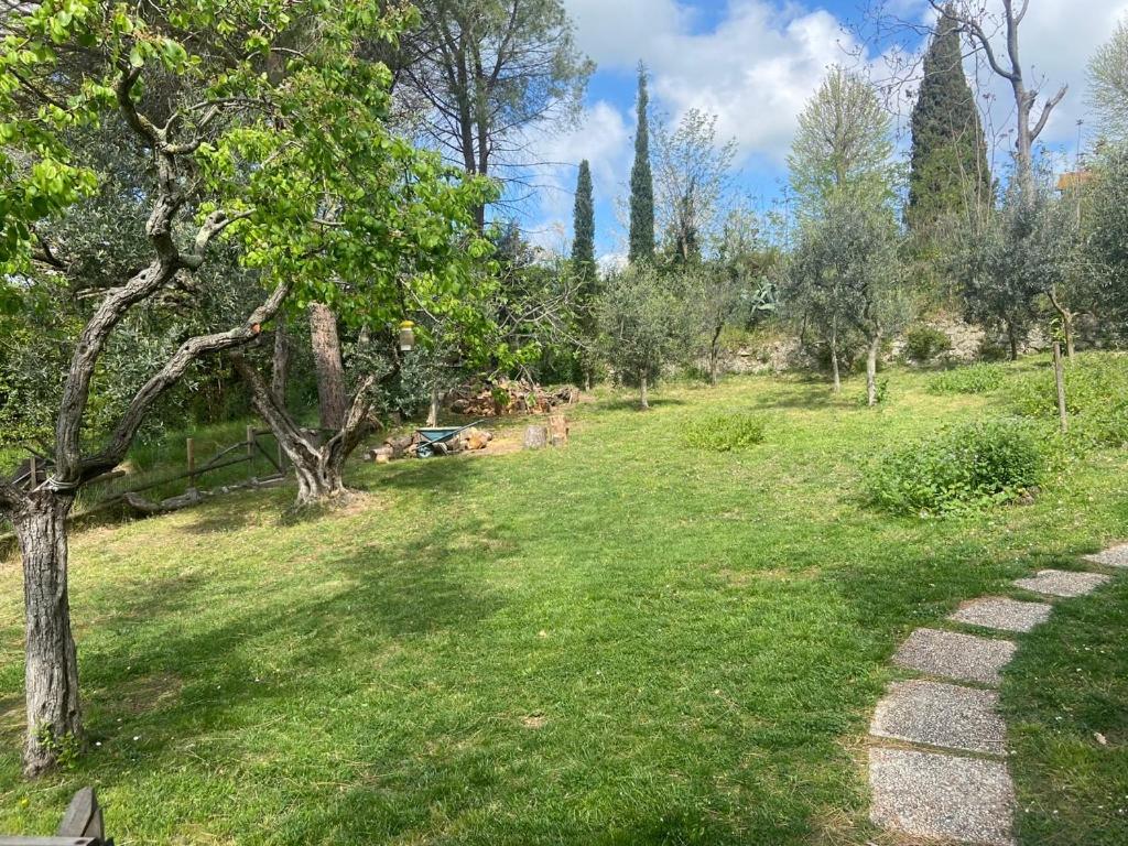 Villa Antonella Castellina Marittima Exterior photo
